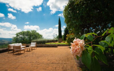 Terra Quercus: Balcon / Terrasse / Patio