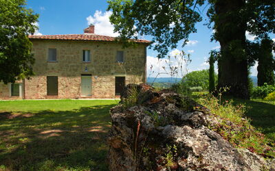 Terra Quercus: Extérieurs