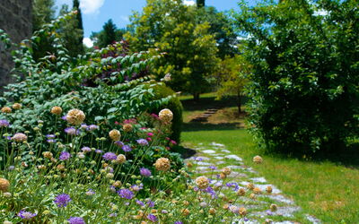 Terra Quercus: Jardin