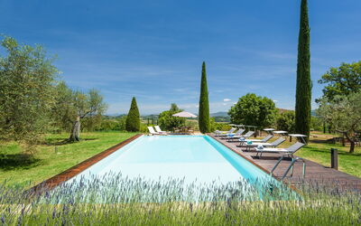 Terra Quercus: bassin