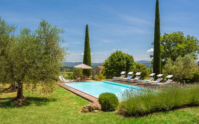 Terra Quercus: bassin