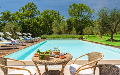 Terra Quercus: bassin