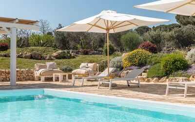 Masseria le Monache: all'aperto, Attività, Balcone / Terrazza / Patio, Benessere, Esterni, Giardino, Piscina, Primavera, Vista Panoramica