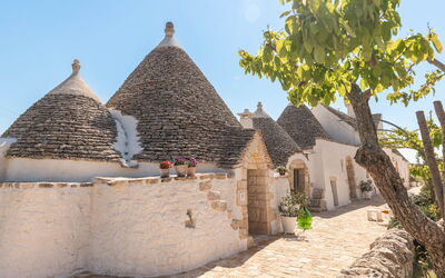 Masseria le Monache: all'aperto, Attività, Balcone / Terrazza / Patio, Benessere, Esterni, Giardino, Piscina, Primavera, Vista Panoramica
