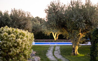 Villa Virginia: bassin, Extérieur, Extérieurs, Jardin