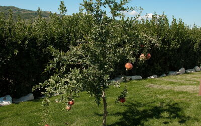 Villa Mariarosaria - Dimora Esclusiva con Piscina