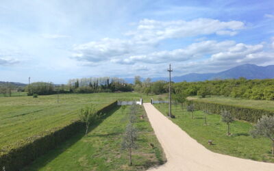 Villa Mariarosaria - Dimora Esclusiva con Piscina