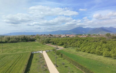Villa Mariarosaria - Dimora Esclusiva con Piscina