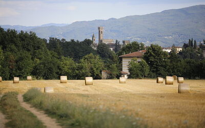 Villa Amelia: Extérieur