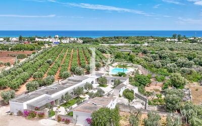 Masseria Lamagrotte by Raro Rooms