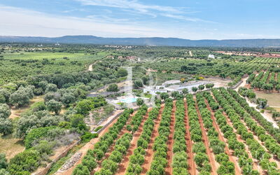 Masseria Lamagrotte by Raro Rooms