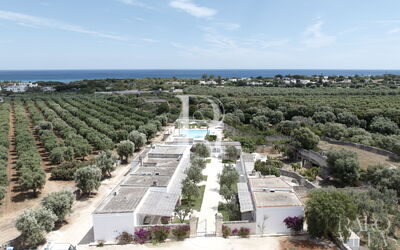 Suite Begonia by Raro Rooms - Masseria Lamagrotte