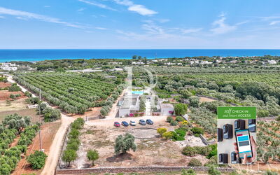 Deluxe Room Camelia by Raro Rooms - Masseria Lamagrotte