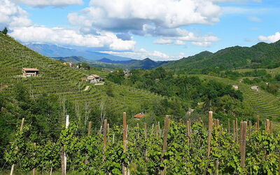 Villa Montello Pool, Jacuzzi, Ac, Wifi, Treviso: Activités, Automne, Été, Extérieurs, Printemps