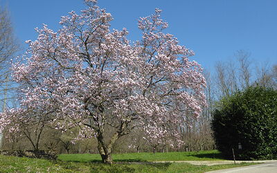 Villa Montello Pool, Jacuzzi, Ac, Wifi, Treviso: Activités, Automne, Été, Extérieurs, Printemps
