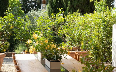 Il Casolese Vignamaggio, Private Pool, Nature, Gre: Autumn, Balcony / Terrace / Patio, Spring, Summer