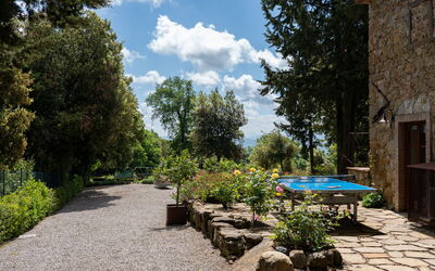Villa Anna: Buitenkanten, Tuin
