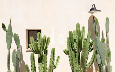 Suite Cisternino | Corte Kalia