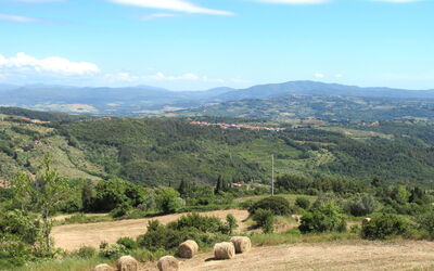 Podere Boscherini 700.1