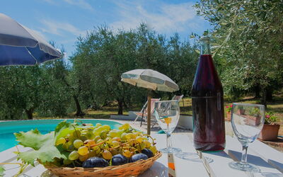 Villa Albertine