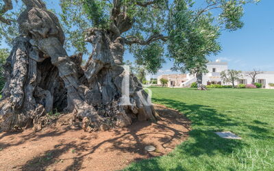 Masseria Villa Il Frantoio