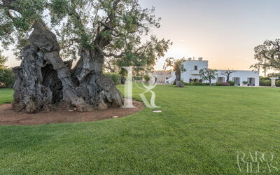 Masseria Villa Il Frantoio