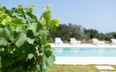 Lacorte di Ninetta