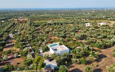Lacorte di Ninetta