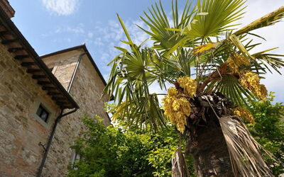 Villa Medicea Lo Sprocco