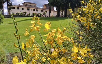 Villa Medicea Lo Sprocco: Principale