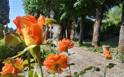 Villa Medicea Lo Sprocco