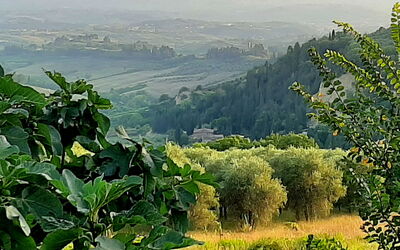 Novellina
