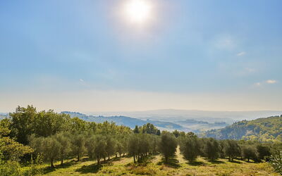 La Novellina – Private Pool Villa in Chianti, Tusc: Extérieur, Vues