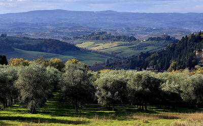 La Novellina – Private Pool Villa in Chianti, Tusc