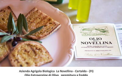 Novellina: Aliments