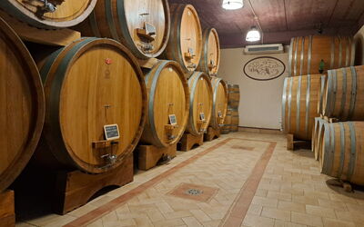 Podere Peteglia: Attività
