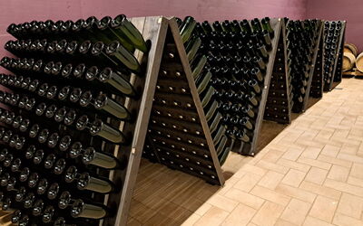 Podere Peteglia: Attività