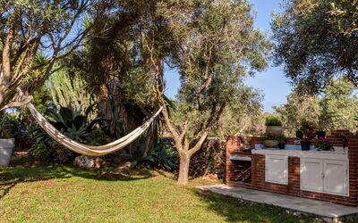 Scent Villa Pine