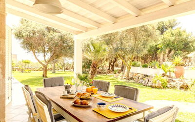Scent Villa Pine