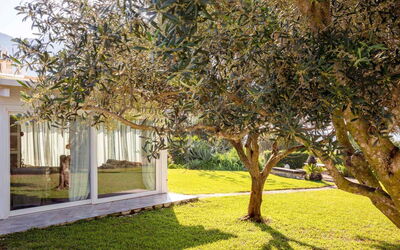 Scent Villa Pine