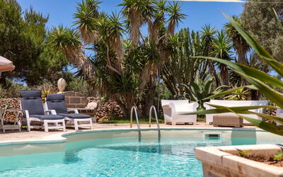 Scent Villa Pine