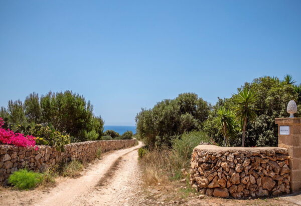 Scent Villa Pine