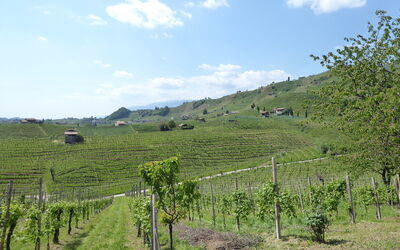 Villa Dolce Bacio, Pool and Spa, Valdobbiadene: Herfst, Keer bekeken, Lente, Zomer