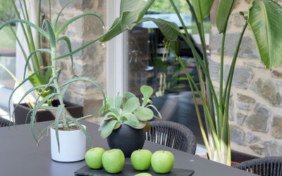 Villa Lilli & Spa: Veranda detail