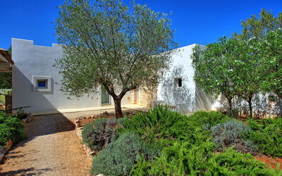 Il Trulletto dei Sogni: Esterni, Giardino