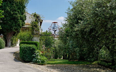 Galero