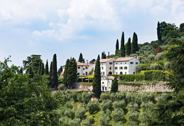Galero
