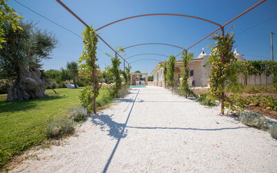 Trulli Valle D'Itria - Martina Franca: Buitenkanten, Buitenshuis, Herfst, Hoofdingang, Lente, Tuin, Winter, Zomer