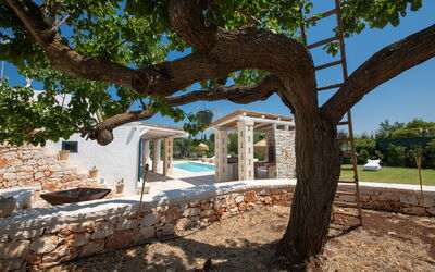Trulli Valle D'Itria - Martina Franca: Buitenkanten, Buitenshuis, Herfst, Lente, Tuin, Winter, Zomer, zwembad