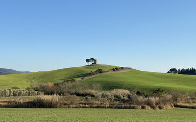 Villa Gli Olivi 670.1